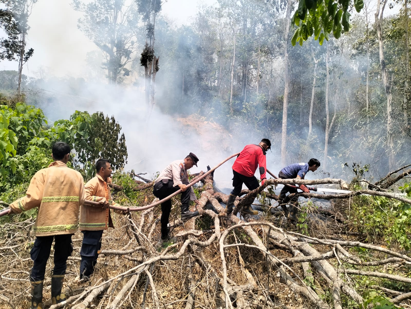 Kebakaran Lahan 5 Hektare di Kolaka Timur, Polisi dan Warga Bergerak Cepat Padamkan Api